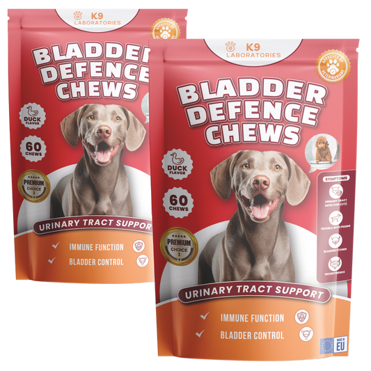 Friandises Défense Vessie & Reins - Lot de 2 (x120 Friandises)