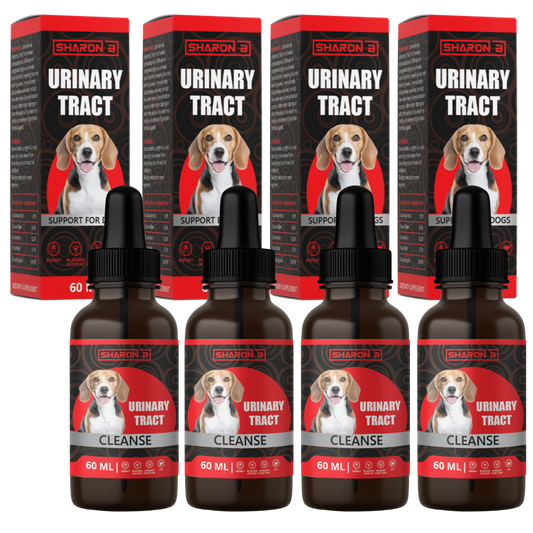 Aide Urinaire pour Chien 60ml - Lot de 4