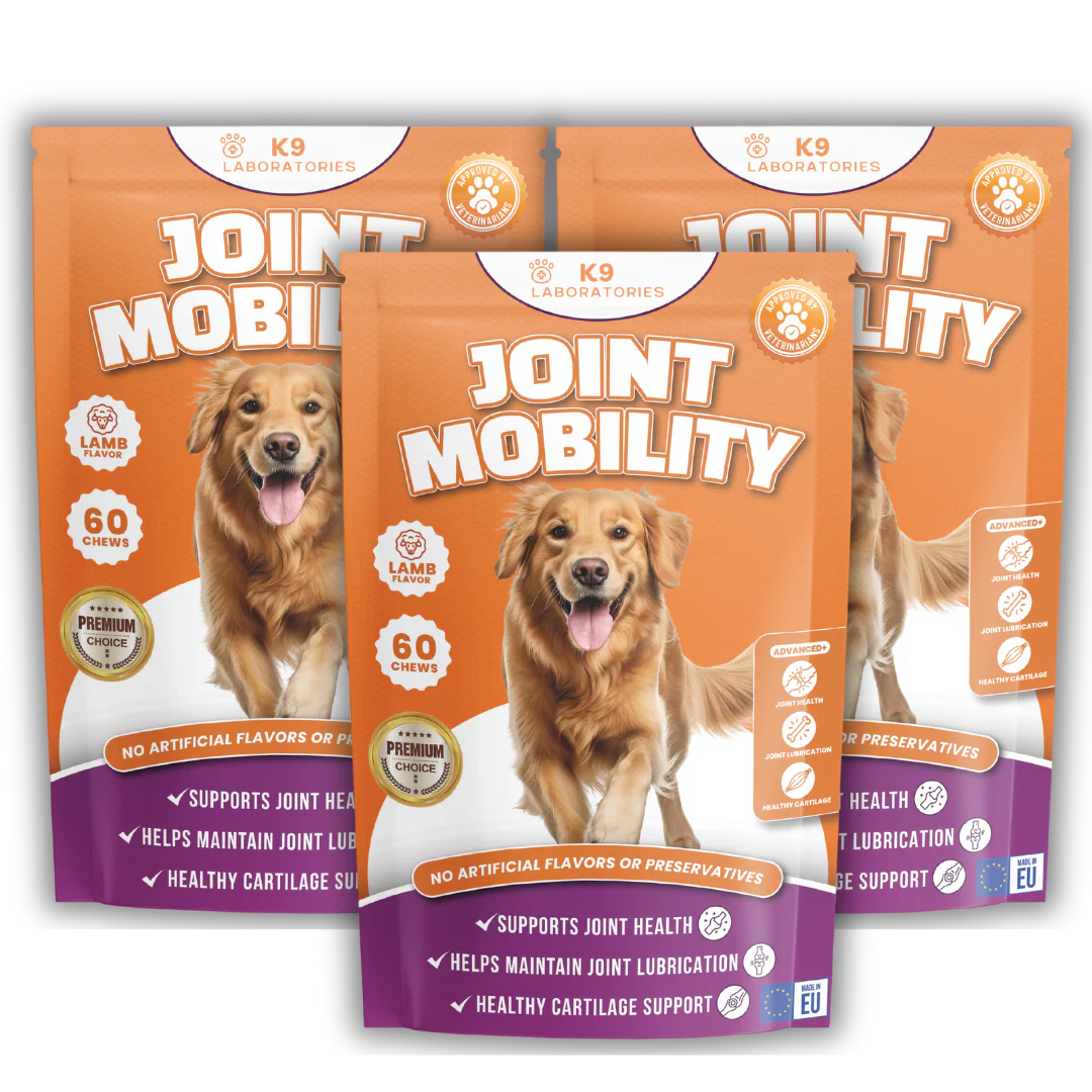 Friandises Soin des Articulations