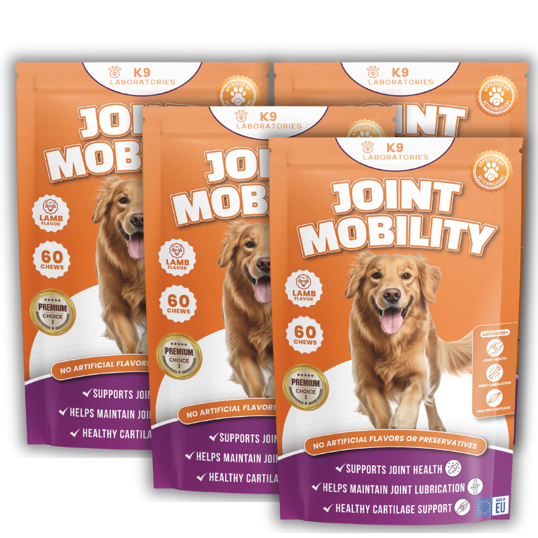 Friandises Soin des Articulations