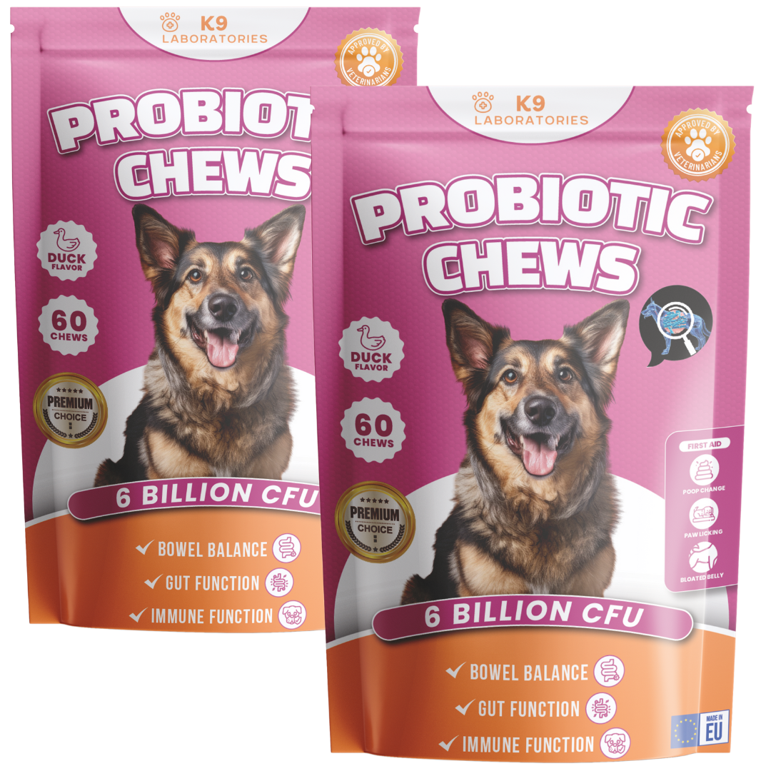 Friandises Probiotique