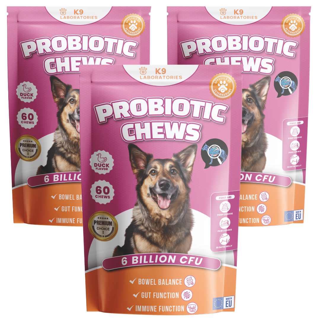 Friandises Probiotique