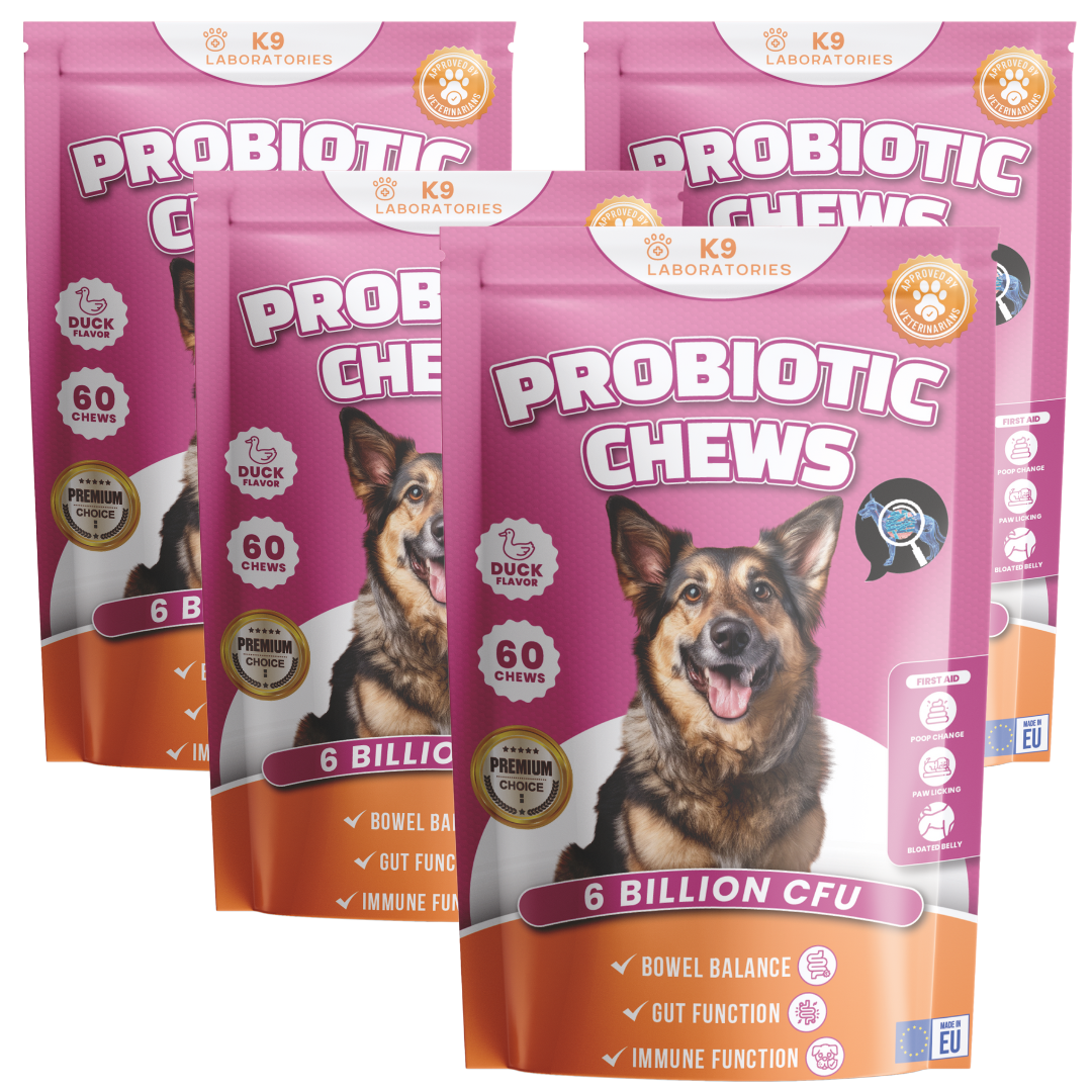 Friandises Probiotique - Lot de 4 (x240 Friandises)