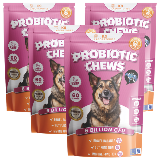 Friandises Probiotique - Lot de 4 (x240 Friandises)