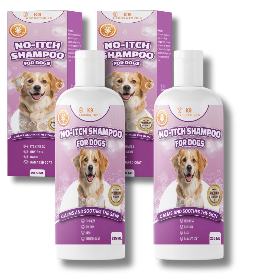 Chien Shampoing Anti-Demangeaisons