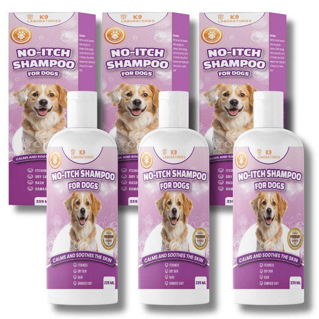 Chien Shampoing Anti-Demangeaisons
