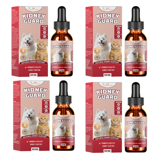 Gouttes Kidney Guard lot de 4