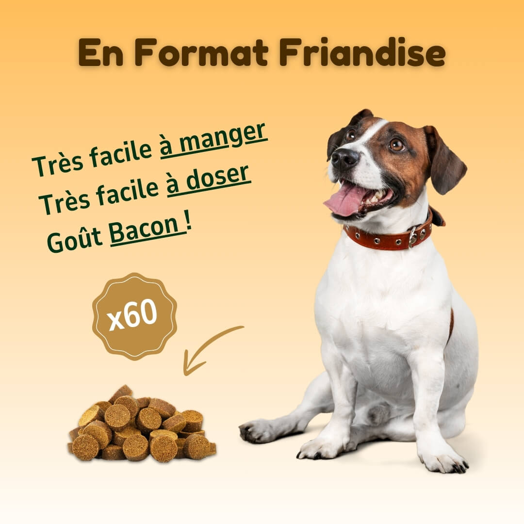 Friandises Stop Allergie