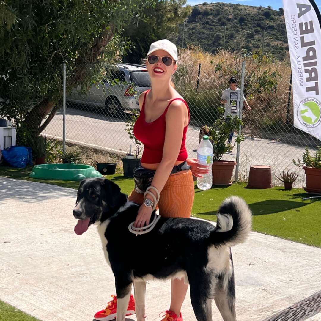 triple a refuge chien k9 laboratories fr