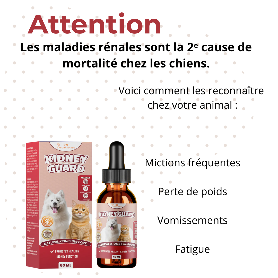 Gouttes Kidney Guard