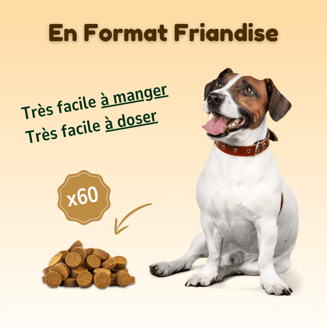 Friandises Soin des Articulations