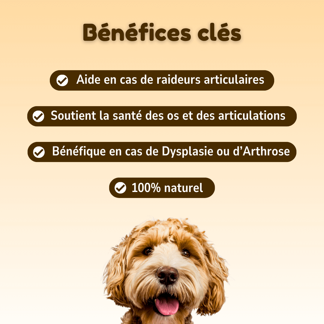 Friandises Soin des Articulations