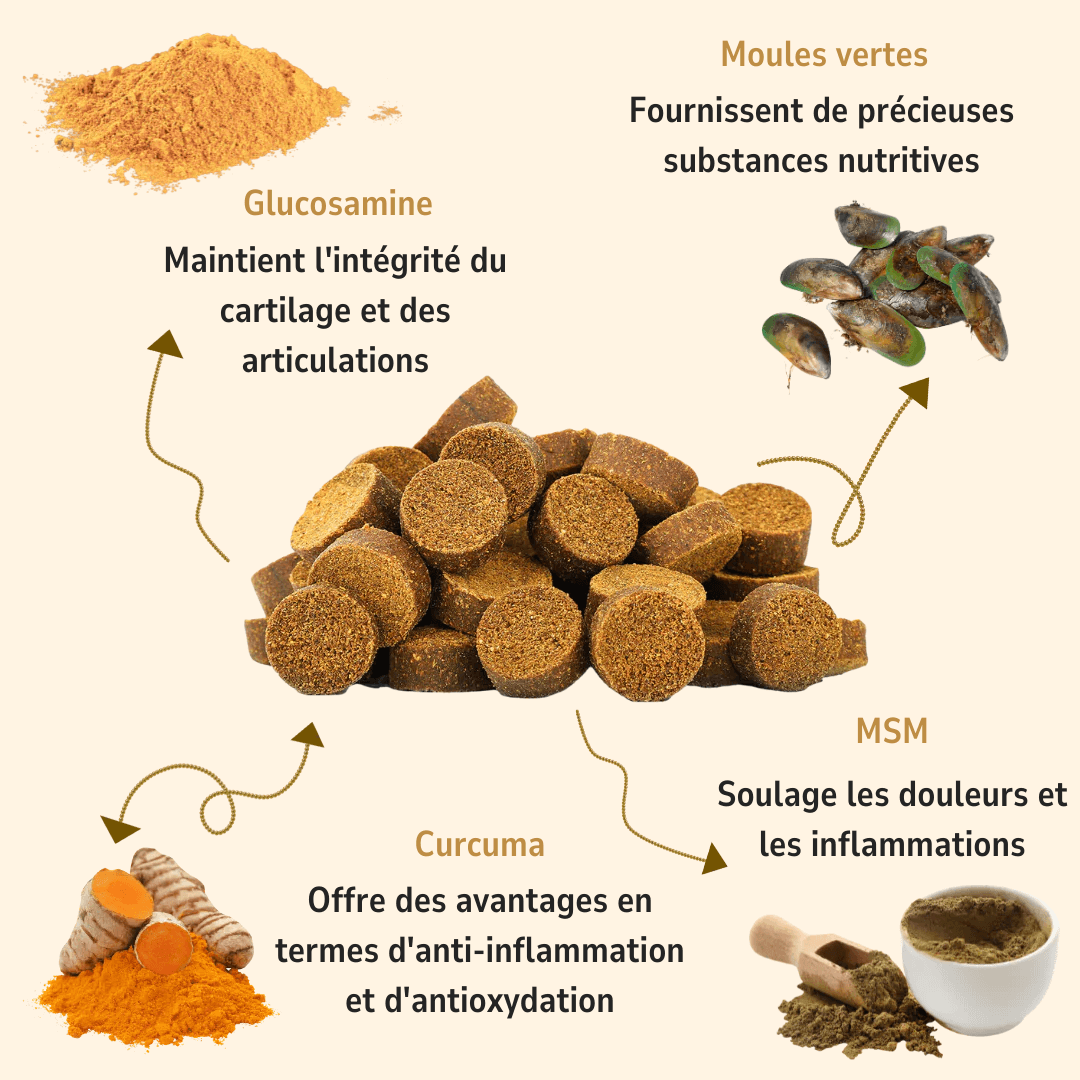 Friandises Soin des Articulations